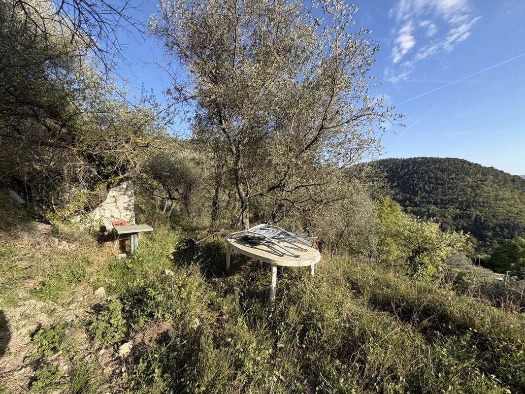 Escarene : terrain inconstructible - photo 6