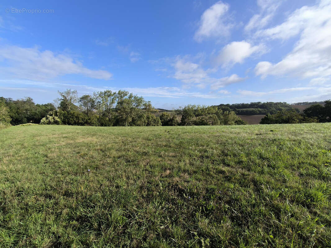 Terrain à MAUVEZIN