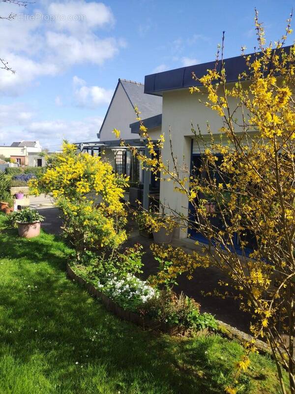Jardin en fleurs  - Maison à LANDEDA
