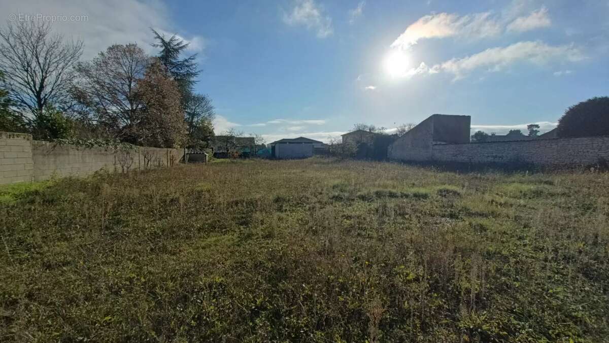 Maison ancienne neuville de poitou - photo 14