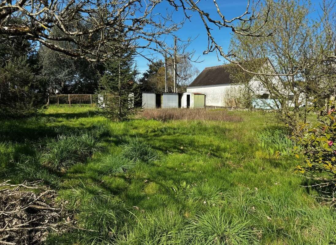 Terrain à SAINT-GONDON