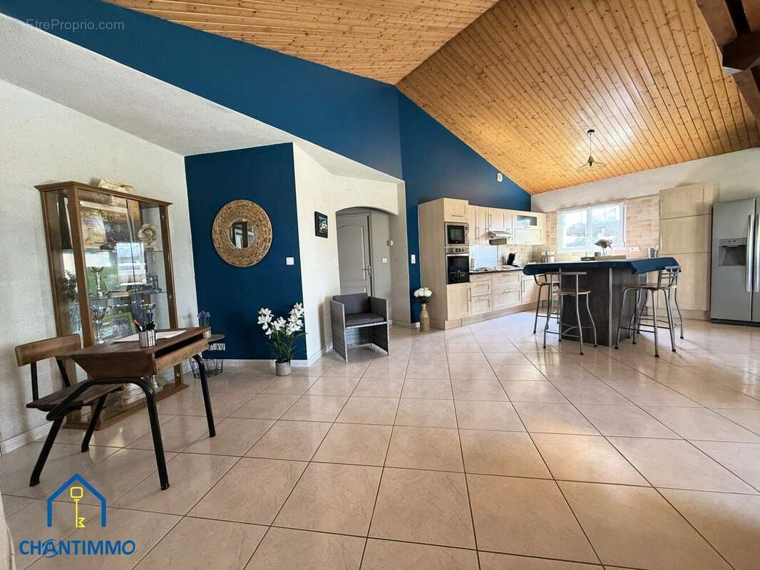 Maison à VIEILLEVIGNE