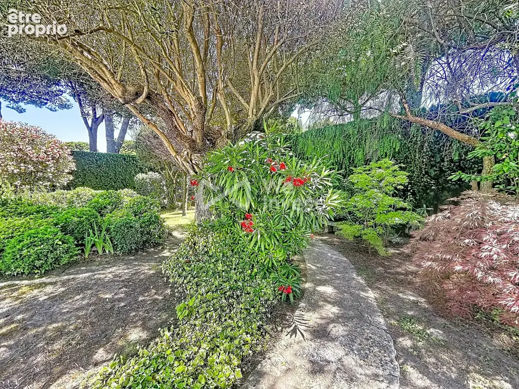 Maison 7 pièces 254 m² à vendre à La Grande-Motte (34280) - photo 4
