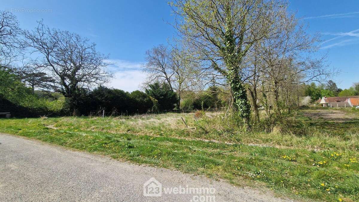 vous profiterez d&#039;une façade de 20 mètres - Terrain à VORGES