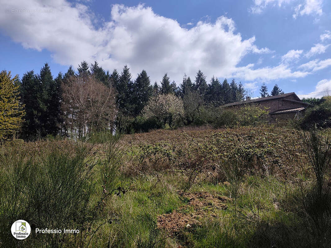 Terrain à CHAUFFAILLES