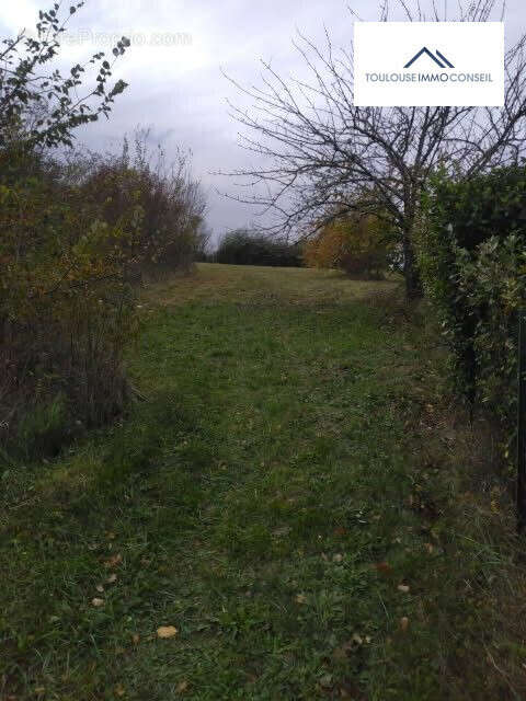 Terrain à AUREVILLE