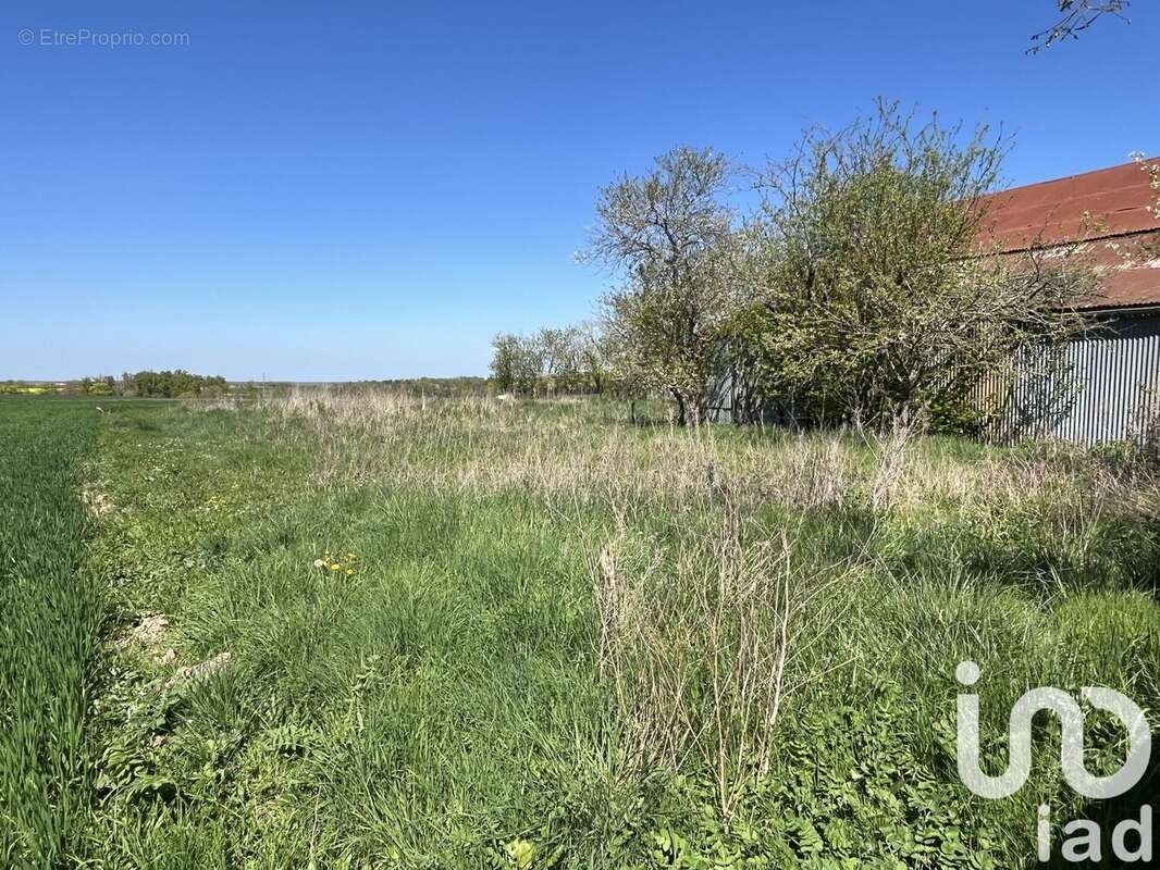 Photo 2 - Terrain à CHAMBOURG-SUR-INDRE