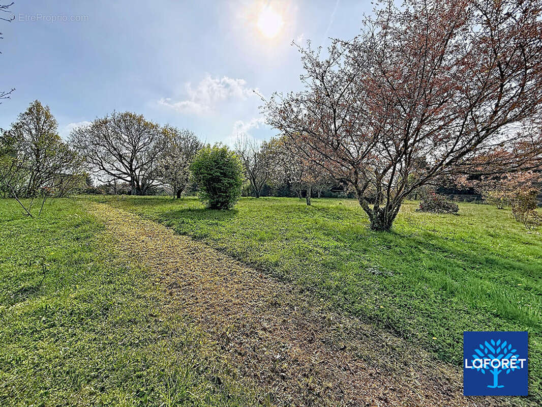 Maison familiale - 5 chambres - quartier résidentiel - photo 5