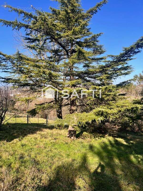 Photo 2 - Terrain à LACROIX-FALGARDE