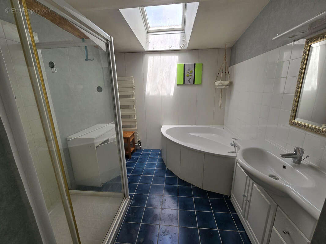 Maison 335 m2 _ 2 000 m2 terrain - photo 15