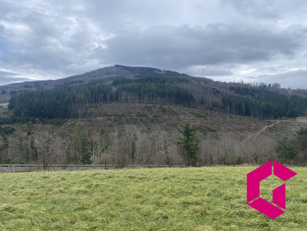 Terrain à VOLLORE-VILLE