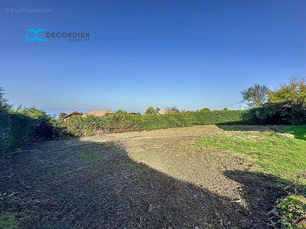 Terrain à MAXILLY-SUR-LEMAN