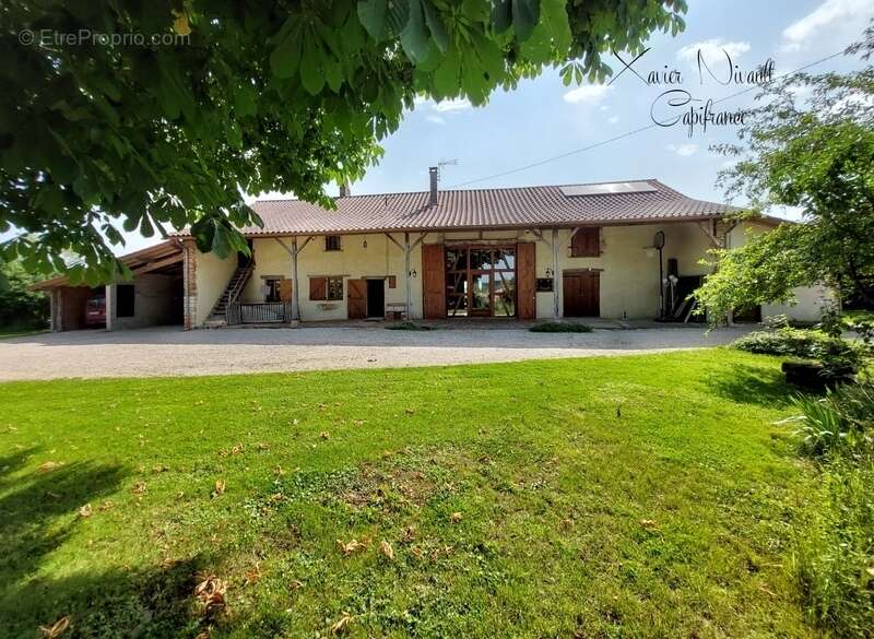 Maison à SAINT-TRIVIER-DE-COURTES