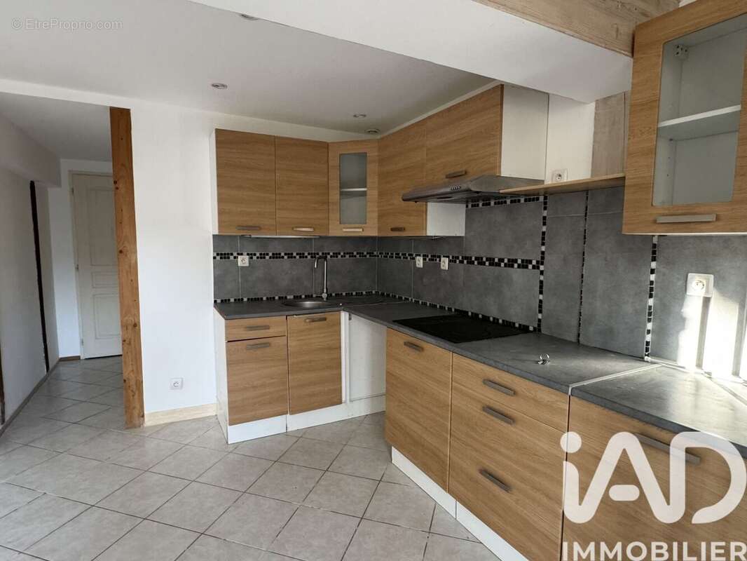 Photo 5 - Maison à LAROQUE-D'OLMES