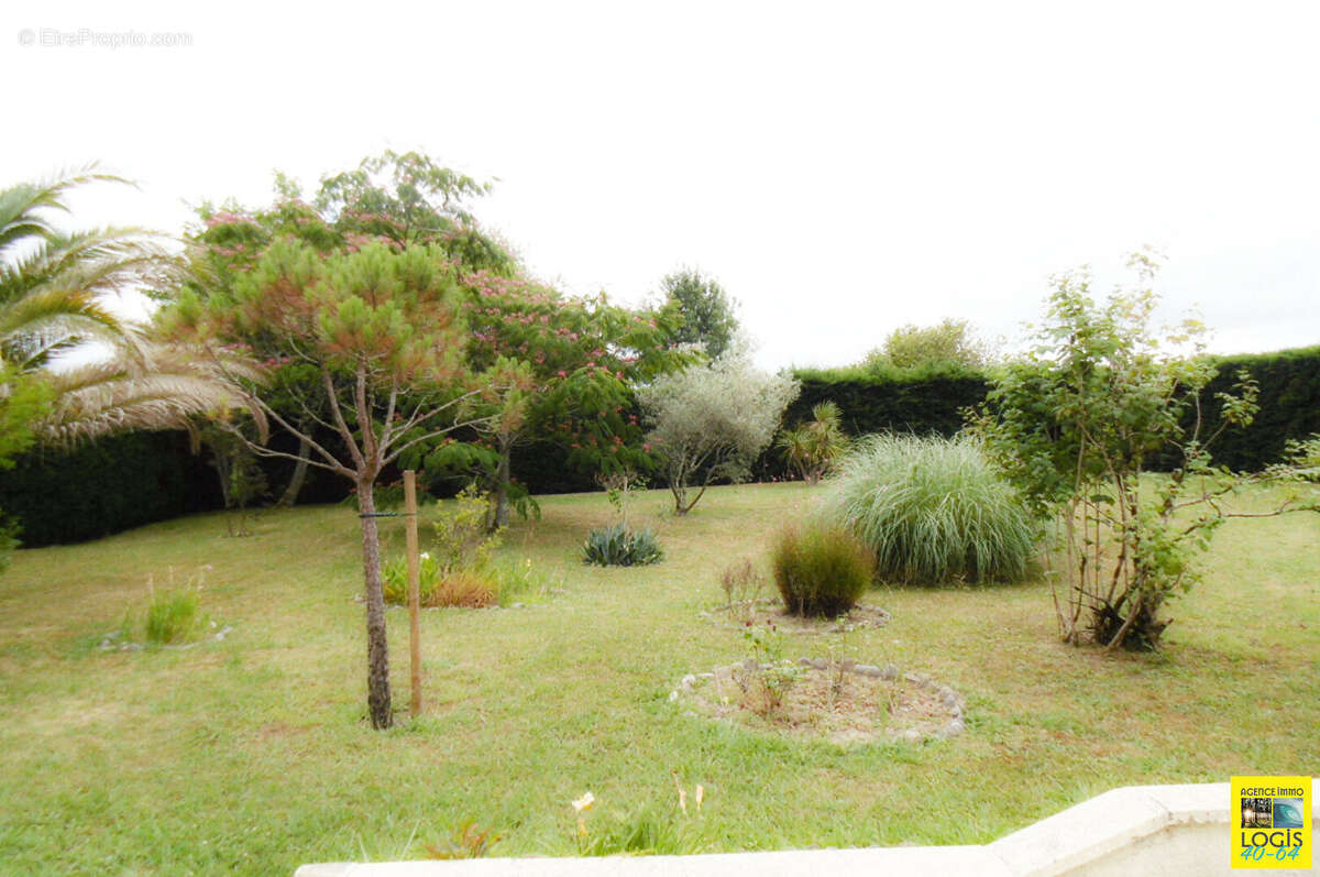 Maison 5p + t2 - belus - photo 3