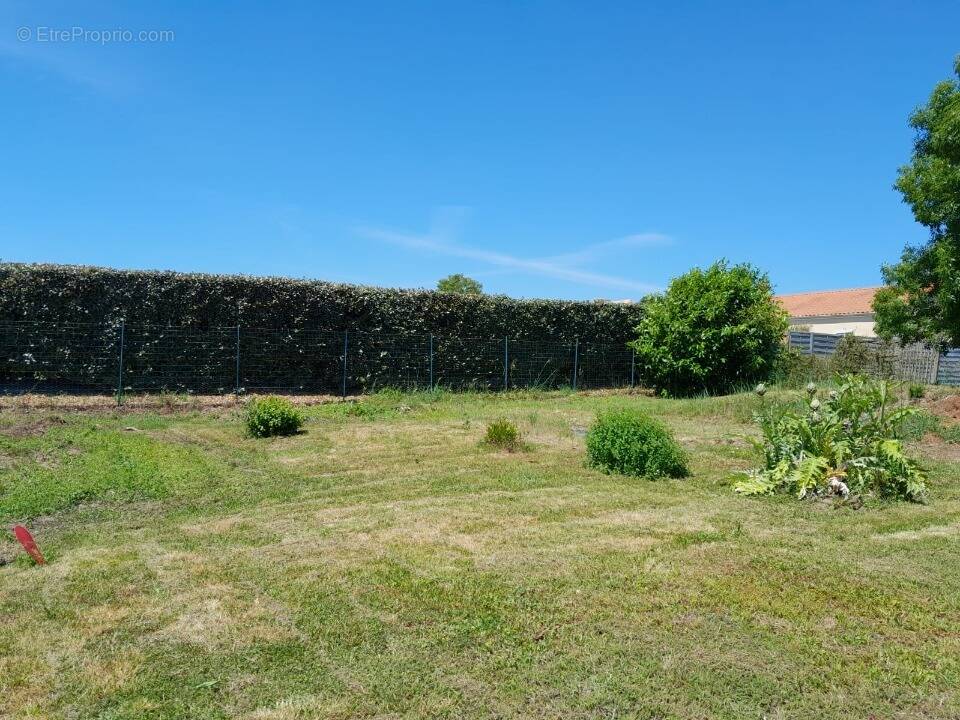 Terrain à BOURGNEUF-EN-RETZ