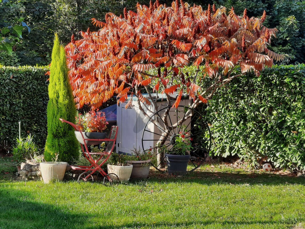 Appartement à SAINTE-FOY-L'ARGENTIERE