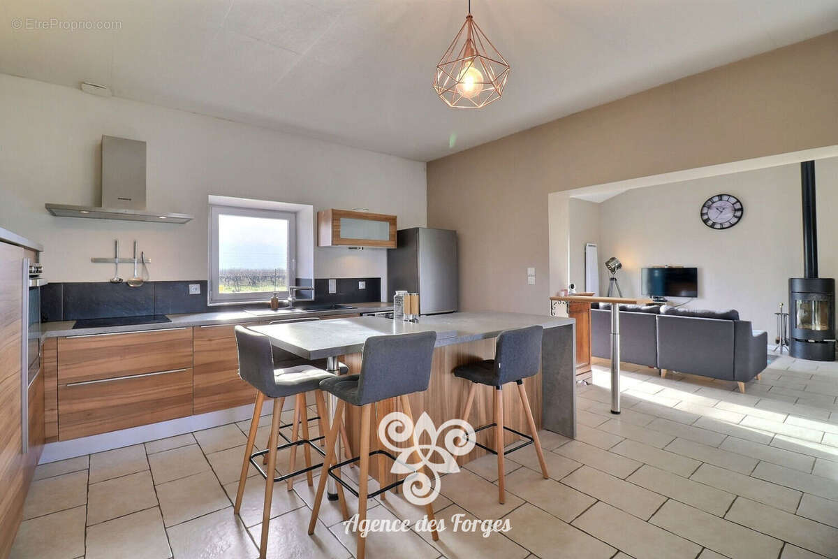 Maison Vallet 113 m2 / 3 chambres / 1642m² de terrain - photo 4