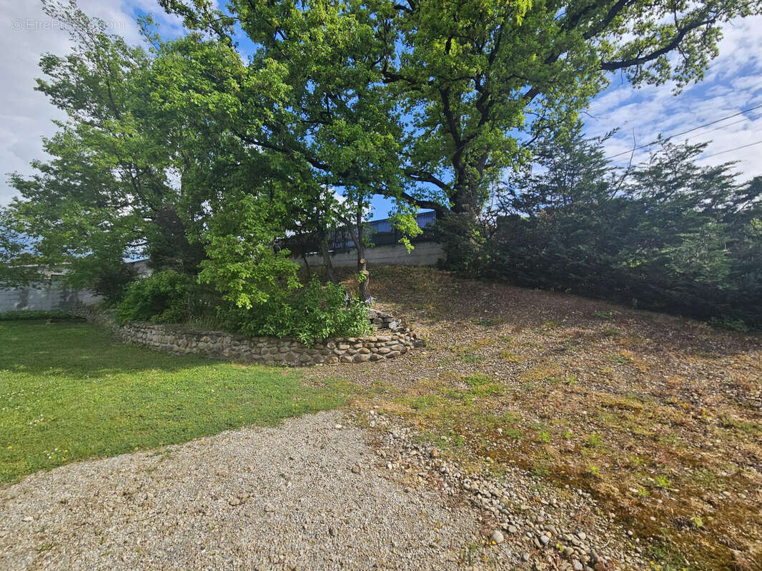 Terrain à SAINT-MAURICE-L'EXIL