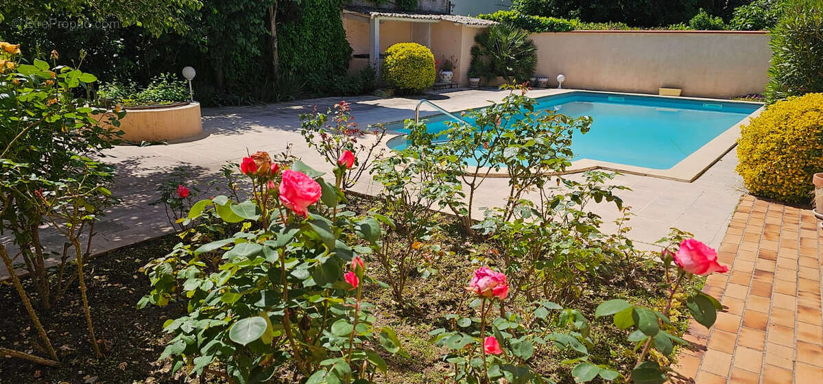Maison avec piscine à Villeneuve/Lot proche écoles, lycées et commodités - photo 5