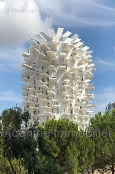 Appartement à MONTPELLIER