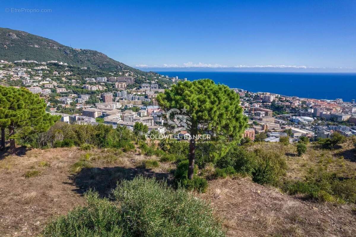 Terrain à SAN-MARTINO-DI-LOTA