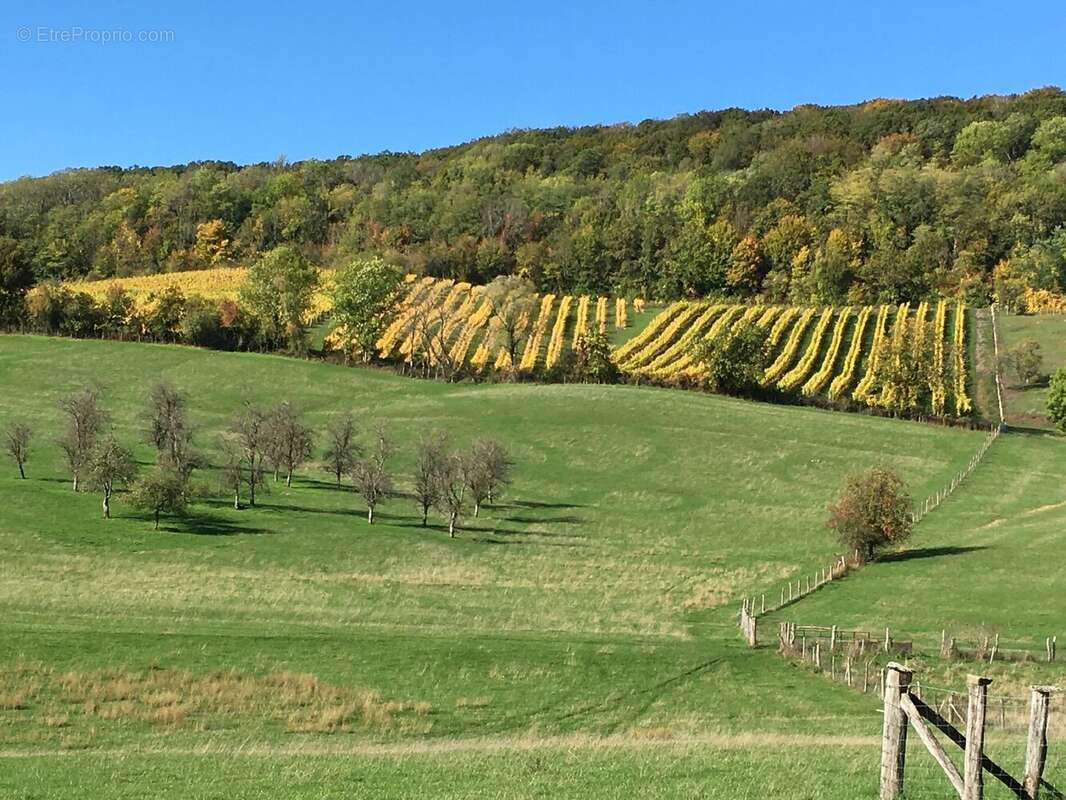 Maison à COIFFY-LE-HAUT