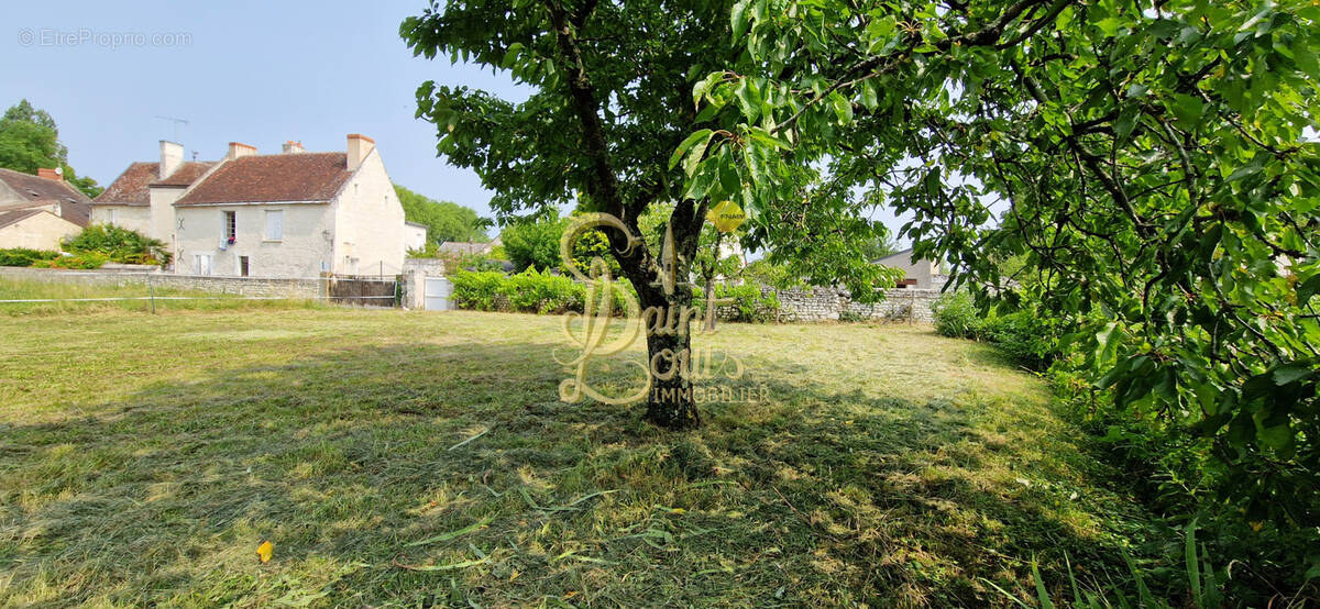 Terrain à CHAMPIGNY-SUR-VEUDE