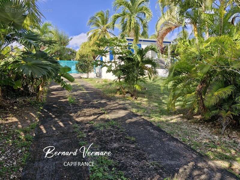 Maison et 3 bungalows - 9 pièces - Piscine - Terrain 2 000m² - photo 8