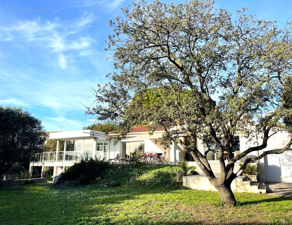 Belle Maison D'architecte de Caractère, 220m2 à vendre à Castelnau le lez sur 2200 m2 de terrain. - photo 13