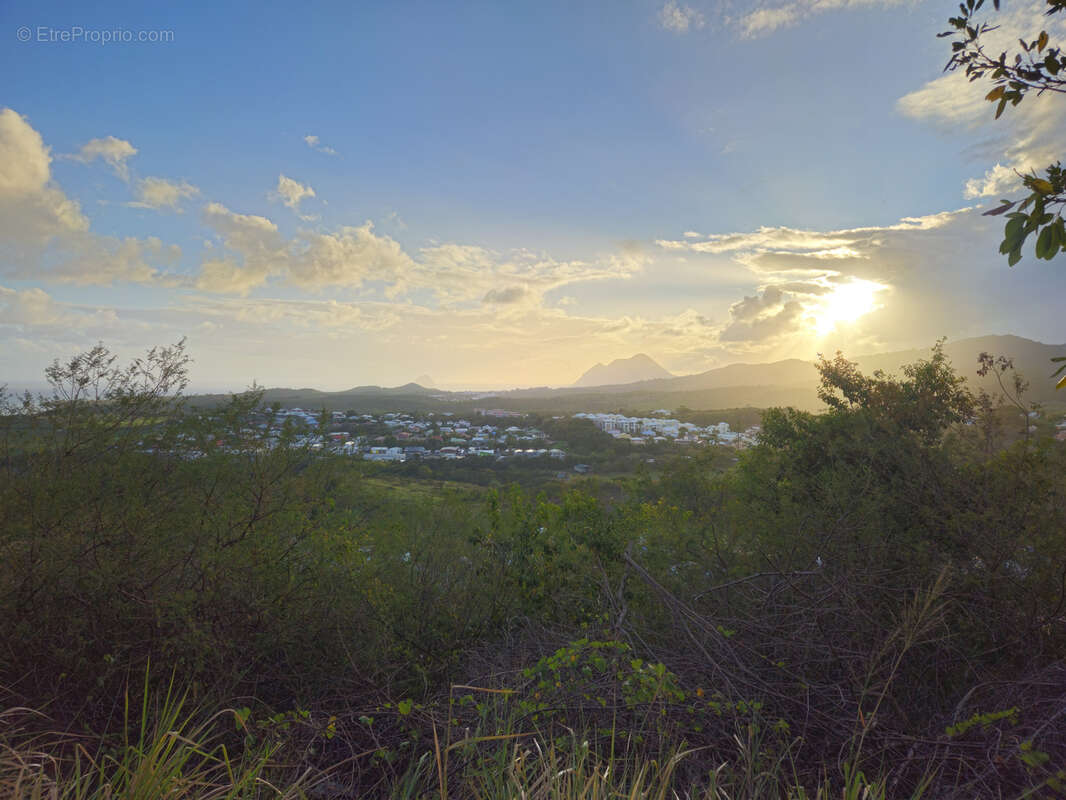 Terrain à RIVIERE-SALEE