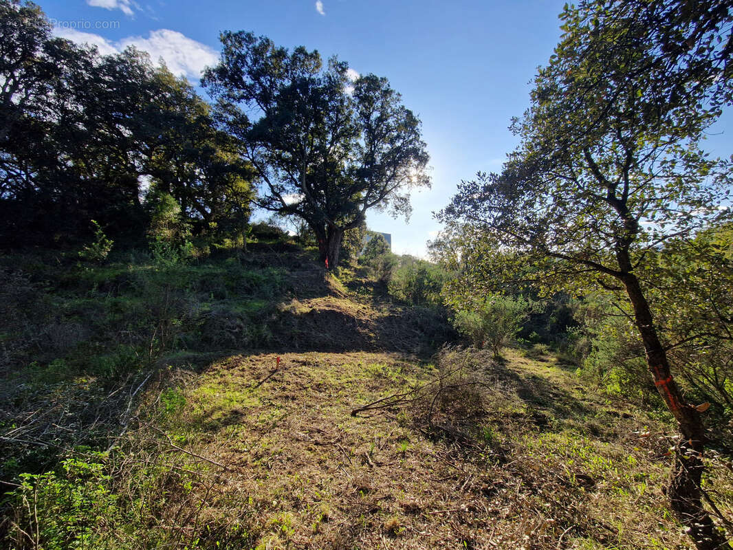 Appartement à AJACCIO