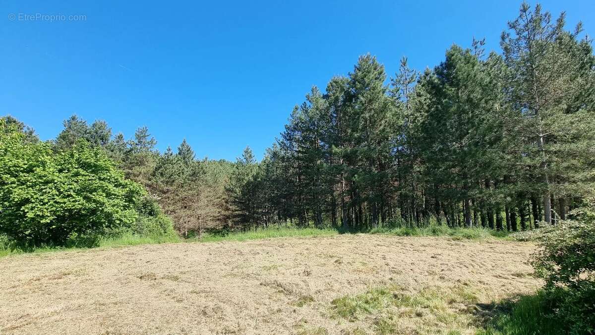 Maison en pierre avec dépendances et 4,8 hectares — Gros potentiel entre Monségur et La Réole - photo 13