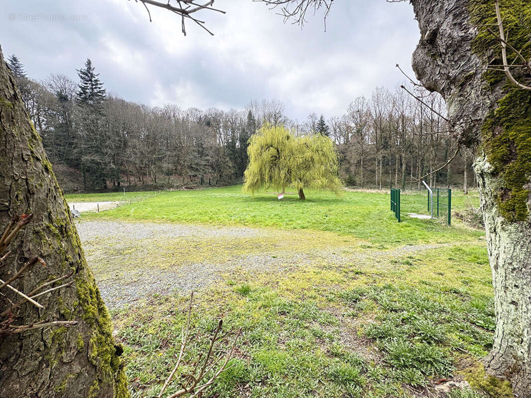 Maison de caractère vue sur le Gouët - photo 17