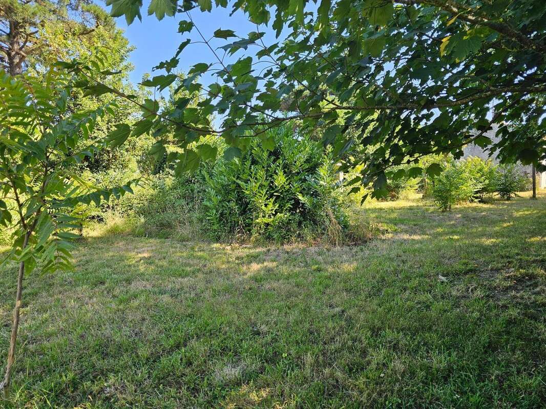 Photo 3 - Maison à VAIRE