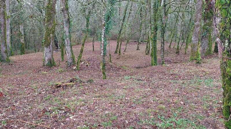 Terrain à vendre de 1 255,00 m² BALADOU (46) - photo 6