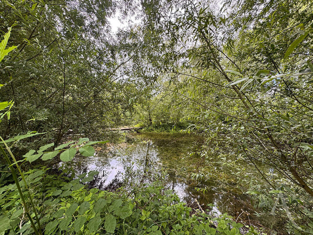 Étang - 9672 m² de nature à 20 min d'amiens - photo 4