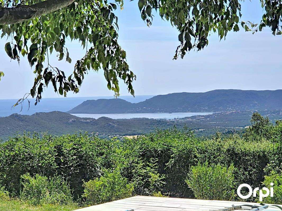 Villa - Vue Golfe - 3 chambres - photo 2