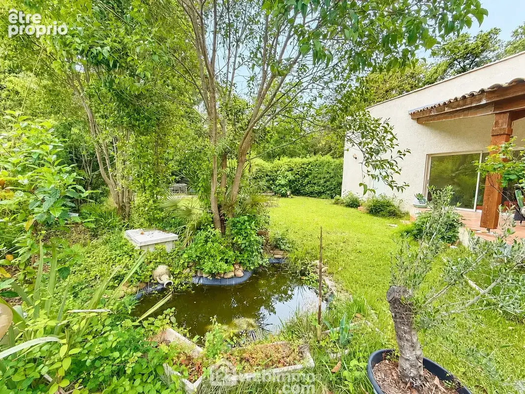 Jardin