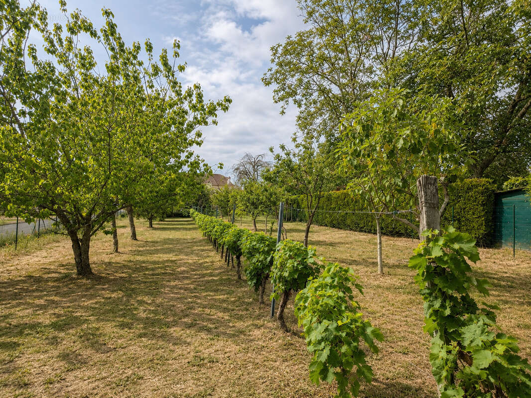 Maison de plain-pied de 129 m2 avec 4 chambres, grand terrain de 2 400 m2 et garage - photo 10