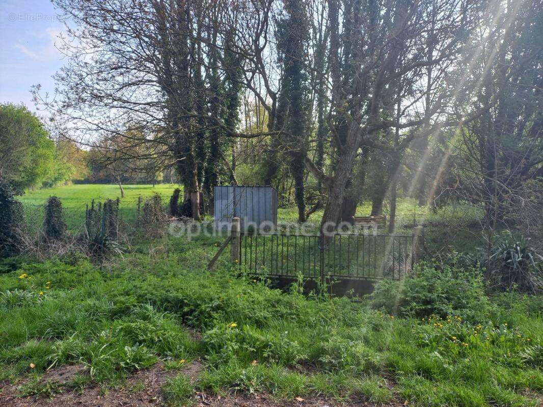 Terrain à vendre de 4 106,00 m² LIESSE NOTRE DAME (02) - photo 5