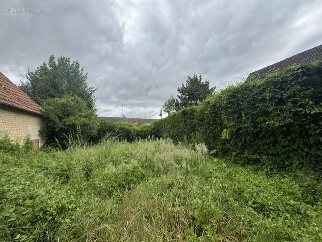 Maison Broussy Le Petit 2 pièce(s) 66 m2 - photo 6