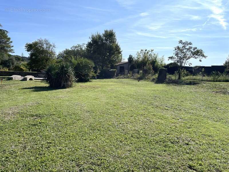 Terrain à SAINT-HILAIRE-DE-BRETHMAS