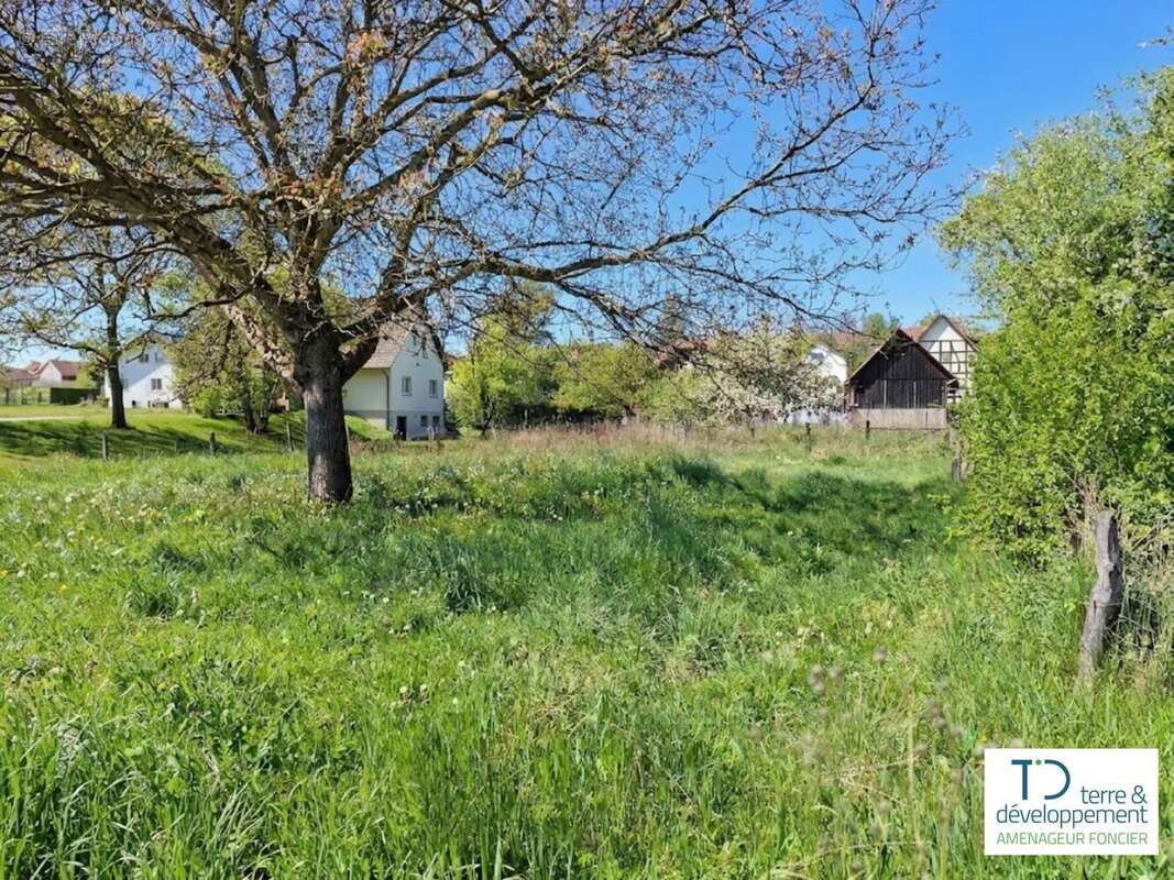 Terrain de 320 m² à steinbrunn-le-haut (haut-rhin) - photo 2