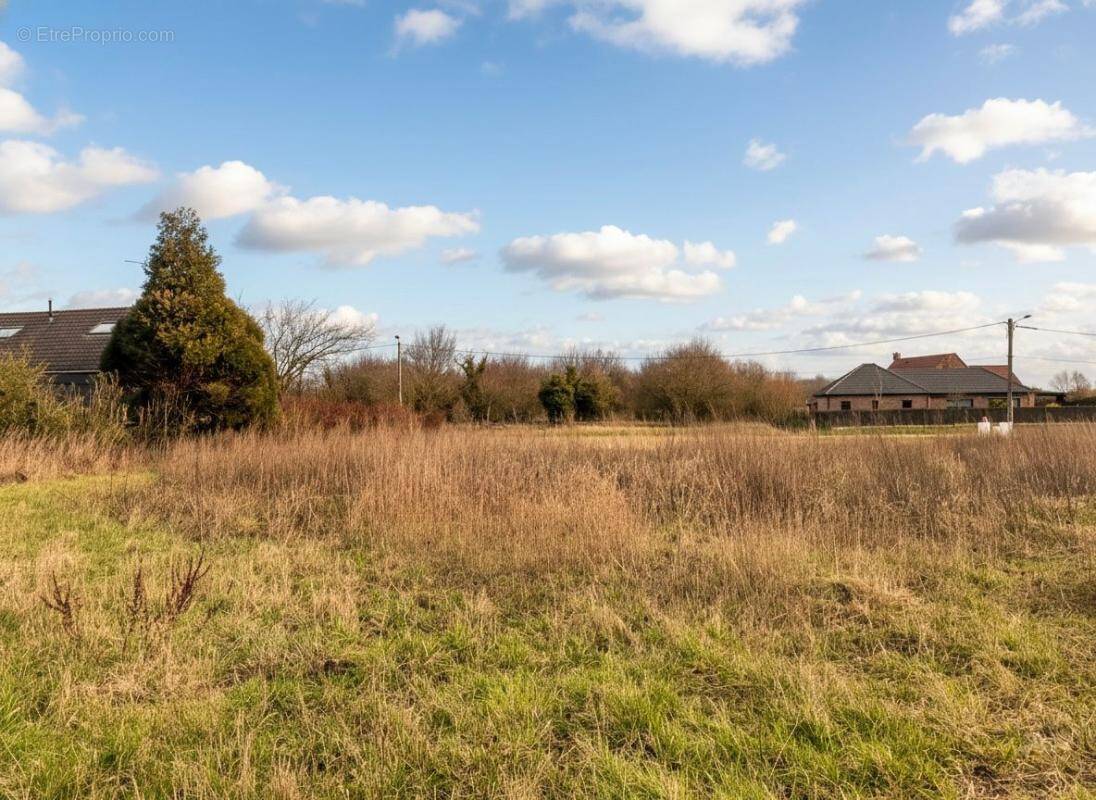Terrain à BERSEE