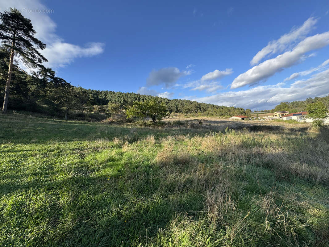 Terrain à VINZIEUX