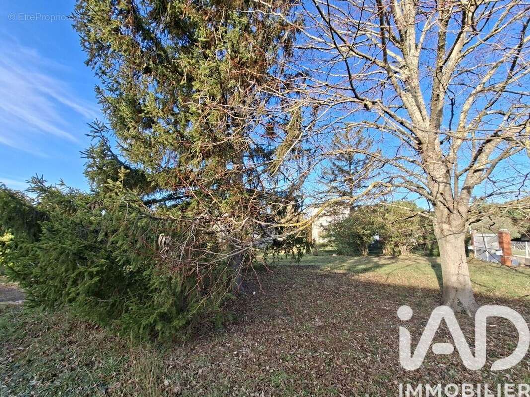 Photo 5 - Maison à PECHBONNIEU