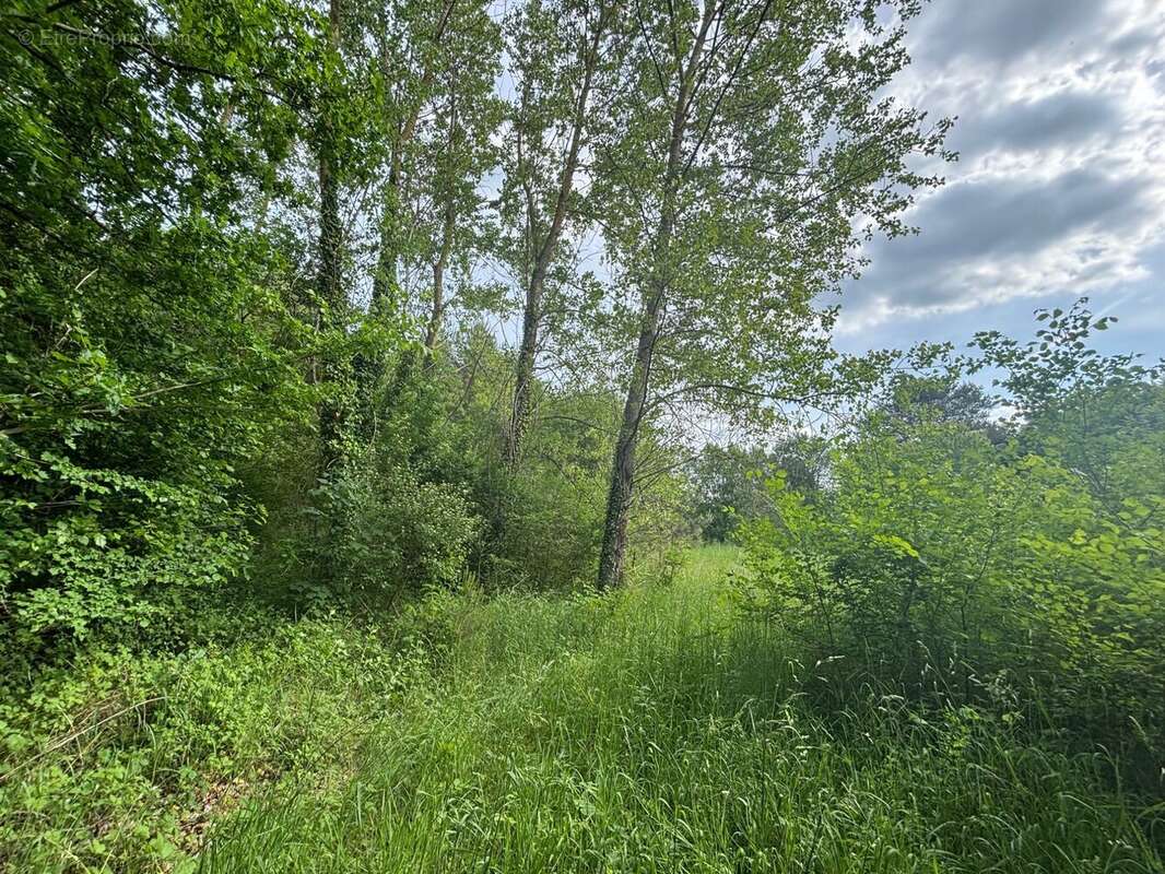 Terrain à LE VAUDOUE