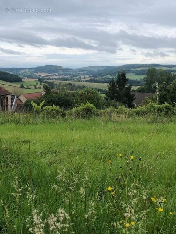 Terrain à ALISE-SAINTE-REINE