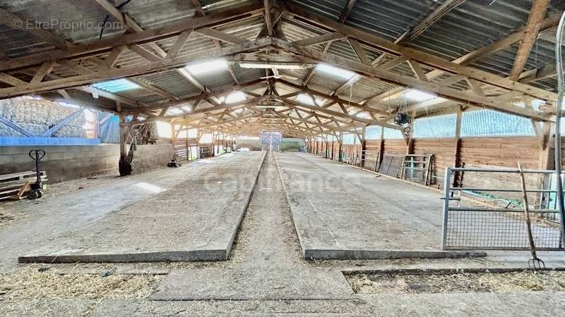 Maison à VILLENEUVE-EN-MONTAGNE